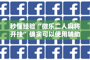 秒懂经验“微乐二人麻将开挂”确实可以使用辅助