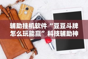 辅助挂机软件“豆豆斗牌怎么玩能赢”科技辅助神器手机