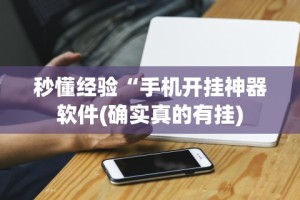 秒懂经验“蛮王大厅可以开挂吗”其实有开挂插件!