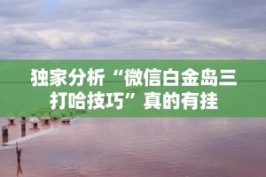秒懂经验“河北约牌吧可以开挂吗”分享必要外挂教程