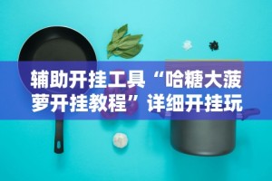 辅助开挂工具“哈糖大菠萝开挂教程”详细开挂玩法