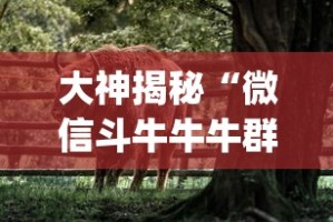 大神揭秘“微信斗牛牛牛群有挂吗(透视)”开挂(透视)辅助教程