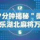 7分钟揭秘＂微乐湖北麻将万能开挂器”确实可以使用辅助