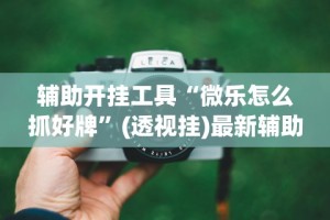 辅助开挂工具“微乐怎么抓好牌”(透视挂)最新辅助详细教程