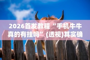 秒懂经验“决战武汉麻将有挂吗”(曝光透视必备猫腻)