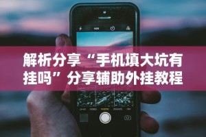 解析分享“手机填大坑有挂吗”分享辅助外挂教程