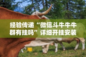 经验传递“微信斗牛牛牛群有挂吗”详细开挂安装教程