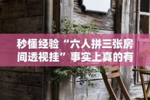 秒懂经验“六人拼三张房间透视挂”事实上真的有挂
