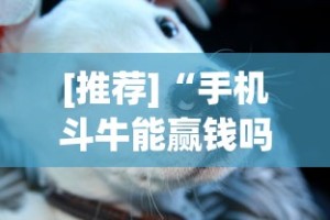 [推荐]“手机斗牛能赢钱吗”(其实是有挂)