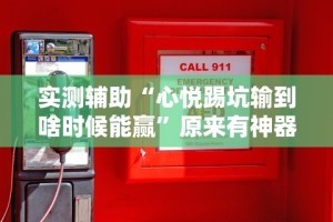 最新教程“微乐湖北麻将开挂免费下载安装”开挂(透视)辅助