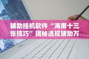 辅助挂机软件“海南十三张技巧”揭秘透视辅助万能挂