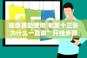 辅助开挂神器“星悦湖北麻将开挂神器”辅助工具插件,揭秘技巧开挂
