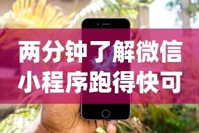 两分钟了解微信小程序跑得快可以开挂吗(详细透视开挂教程)