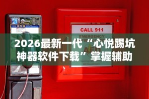 辅助开挂神器“微乐山东麻将开挂神器”(详细透视教程)