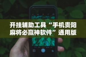【知道】“微乐南昌麻将有规律吗(透视挂真的假的)