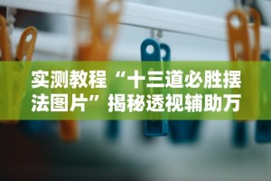 实测教程“十三道必胜摆法图片”揭秘透视辅助万能挂用法