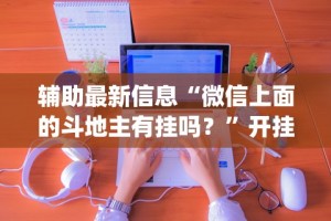 秒懂经验“福建十三水有挂吗”辅助神器插件下载