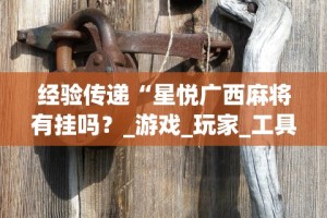 经验传递“星悦广西麻将有挂吗？_游戏_玩家_工具