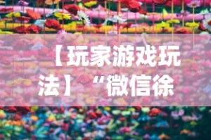 【玩家游戏玩法】“微信徐州麻将红中挂”(原来确实是有挂)