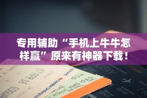 辅助开挂神器“广西棋牌十三张一直输”详细开挂玩法