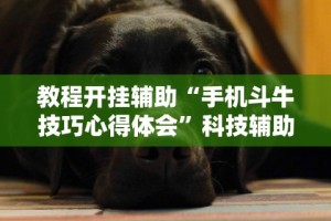 软件分享“微乐斗地主亲友房为啥总是输”附透视挂详细教程