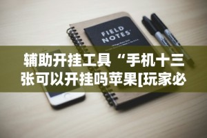 辅助开挂工具“手机十三张可以开挂吗苹果[玩家必赢神器]