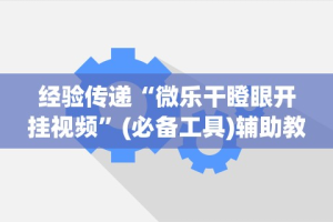 经验传递“微乐干瞪眼开挂视频”(必备工具)辅助教学