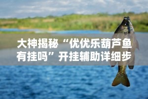 辅助开挂神器“江苏大宝麻将有挂是不是真的”作弊挂(辅助外挂+