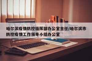 哈尔滨疫情防控指挥部办公室主任/哈尔滨市防控疫情工作领导小组办公室