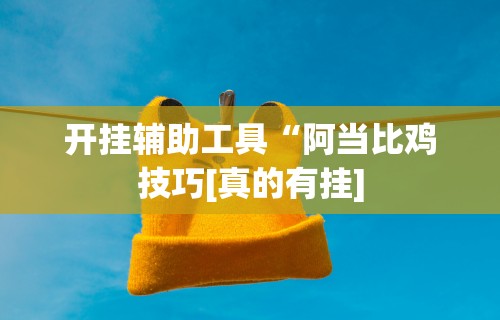 开挂辅助工具“阿当比鸡技巧[真的有挂]