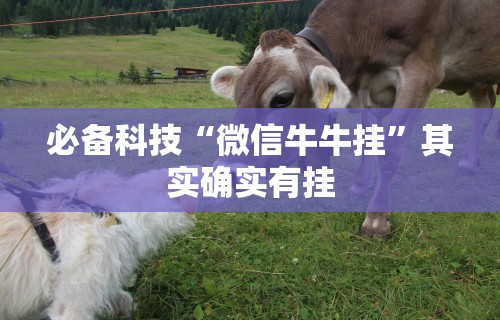 必备科技“微信牛牛挂”其实确实有挂