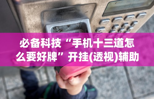 必备科技“手机十三道怎么要好牌”开挂(透视)辅助