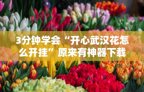 3分钟学会“开心武汉花怎么开挂”原来有神器下载！