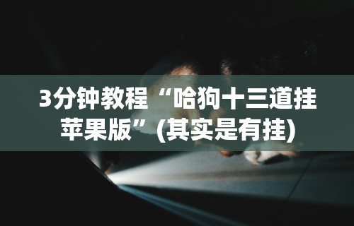 3分钟教程“哈狗十三道挂苹果版”(其实是有挂)