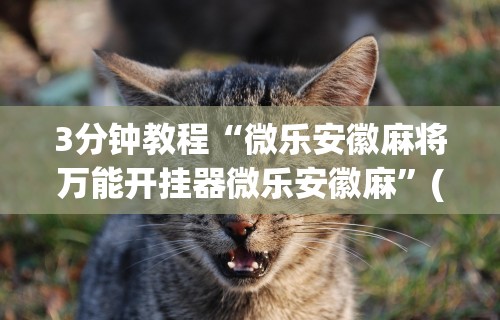 3分钟教程“微乐安徽麻将万能开挂器微乐安徽麻”(曝光透视必备猫腻)