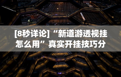 [8秒详论]“新道游透视挂怎么用”真实开挂技巧分享