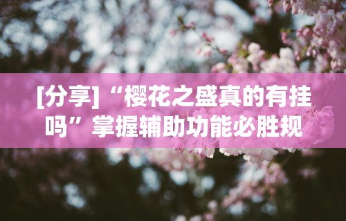 [分享]“樱花之盛真的有挂吗”掌握辅助功能必胜规则