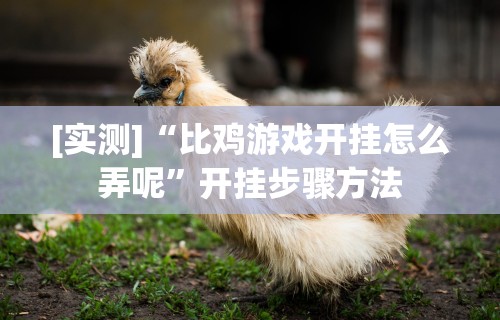 [实测]“比鸡游戏开挂怎么弄呢”开挂步骤方法