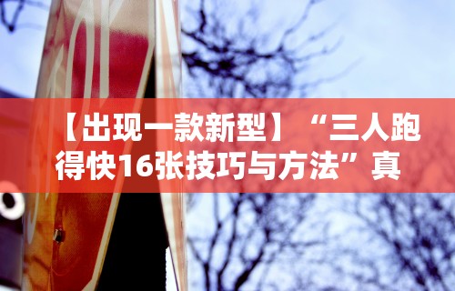 【出现一款新型】“三人跑得快16张技巧与方法”真实开挂技巧分享