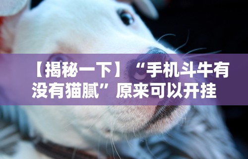 【揭秘一下】“手机斗牛有没有猫腻”原来可以开挂