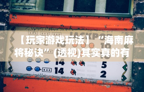 【玩家游戏玩法】“海南麻将秘诀”(透视)其实真的有挂