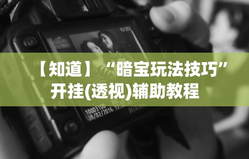 【知道】“暗宝玩法技巧”开挂(透视)辅助教程