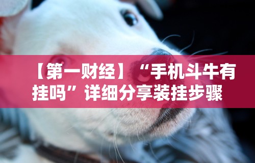 【第一财经】“手机斗牛有挂吗”详细分享装挂步骤教程