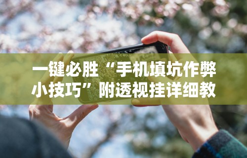 一键必胜“手机填坑作弊小技巧”附透视挂详细教程