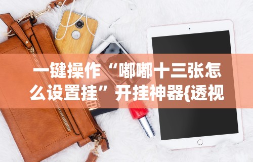 一键操作“嘟嘟十三张怎么设置挂”开挂神器{透视辅助}全揭秘