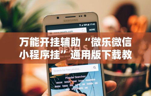 万能开挂辅助“微乐微信小程序挂”通用版下载教程