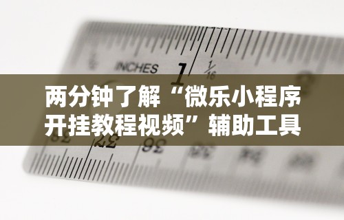 两分钟了解“微乐小程序开挂教程视频”辅助工具插件,揭秘技巧开挂