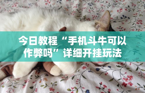 今日教程“手机斗牛可以作弊吗”详细开挂玩法