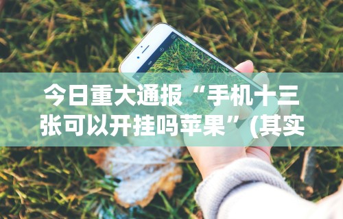 今日重大通报“手机十三张可以开挂吗苹果”(其实是有挂)