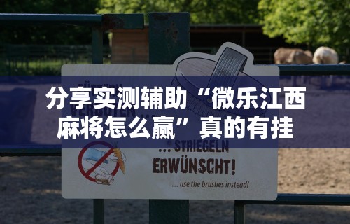 分享实测辅助“微乐江西麻将怎么赢”真的有挂